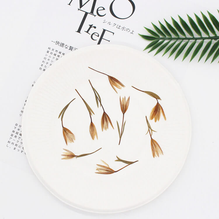 Dried Pressed Double-leaf Lilies 2